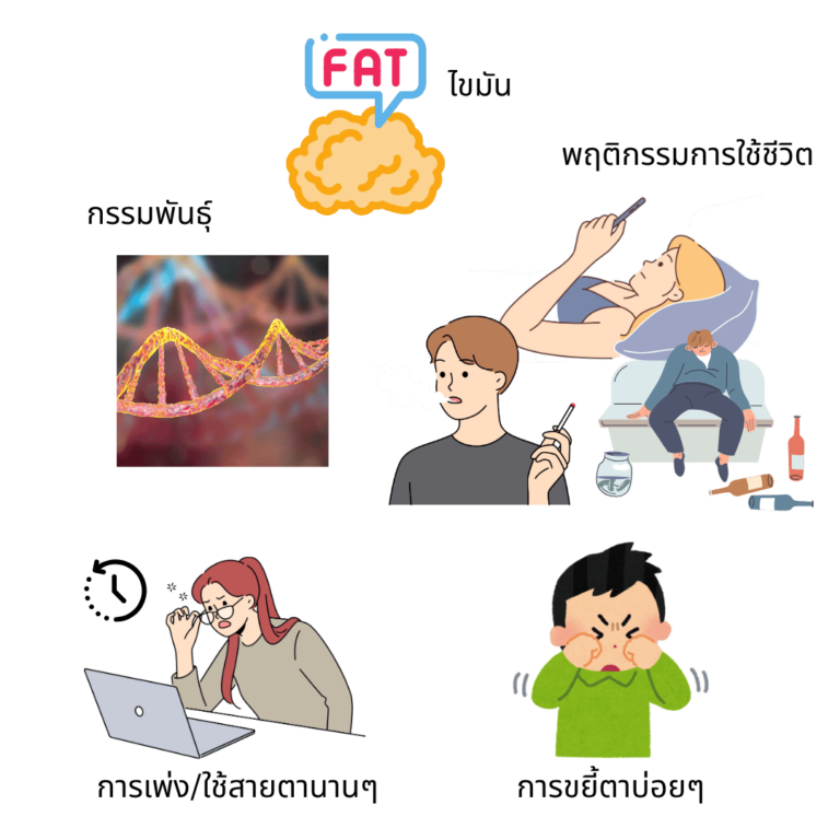 สาเหตุของไขมันถุงใต้ตา