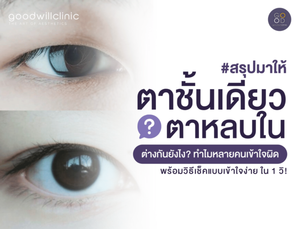 ตาชั้นเดียว vs ตาหลบใน ต่างกันยังไง ปก
