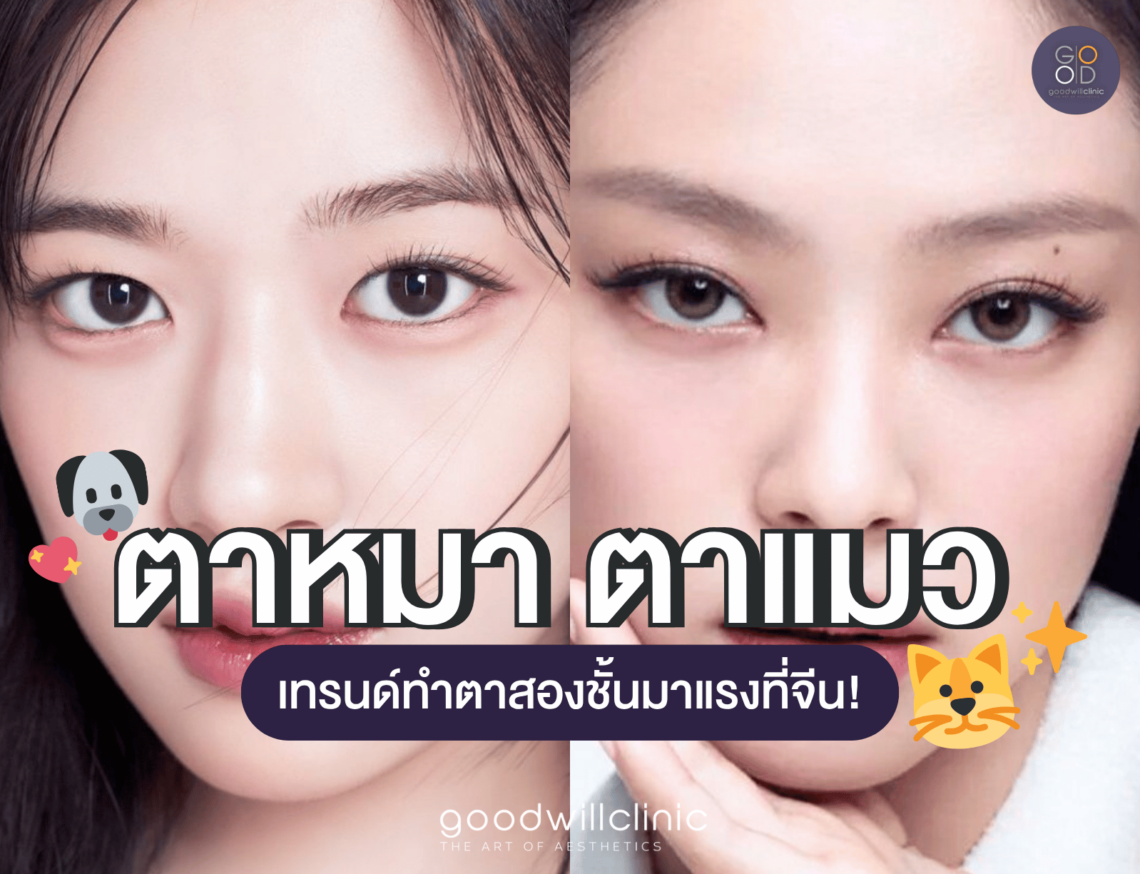 ทำตาสองชั้นแบบ ตาหมา ตาแมว